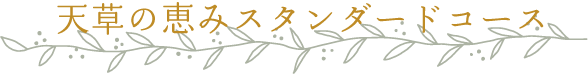 天草の恵みスタンダードコース