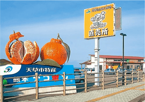 天草とれたて市場