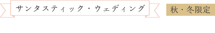 サンタスティック・ウェディング